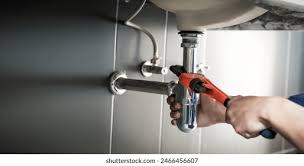 Professional Plumbung Services in Oregon, OH